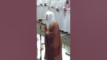 تلاوة مميزة للشيخ ياسر الدوسري  مقتبس من صلاة التروايح سورة الكهف  . رمضان.
