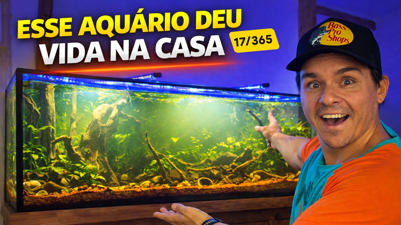 DESMONTEI O MARINHO E FIZ ESSE AQUÁRIO BOTÂNICO, SE LIGA NO RESULTADO !