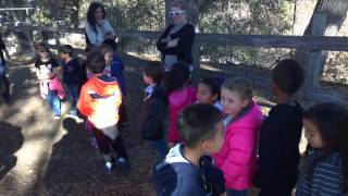 Fog Willow Pumpkin Patch 102714