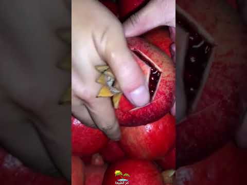 تقشير الرمان بطريقة رائعة