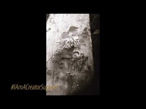 Industriegebied Beverwijk , The Netherlands