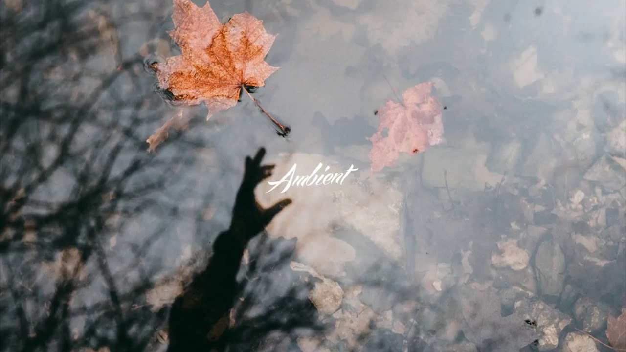 Grandyzer & Sinius - Disembody