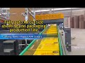 Bohui paper(APP Sinar)丨CHM A4 5 pockets cut size sheeting and packaging production line