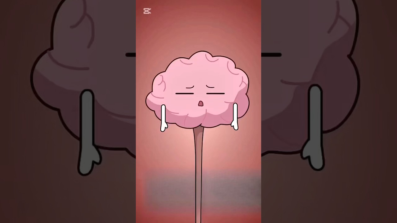 😩I Went on Diet…Now my Stomach Hurts 