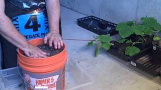 Medical Marijuana - MMJ - Spoetnik #1 Update  - Transplant Time Pt 1