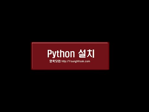 Python 설치