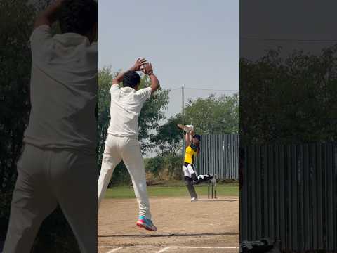 😇🏏