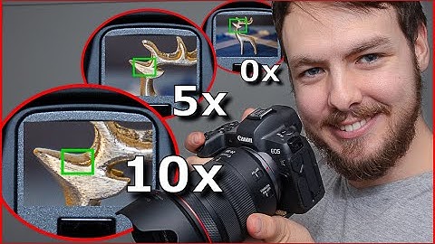 Nail Focus W 10x View Finder Zoom On Canons Mirrorless EOS R 📸🐘🐘🐘