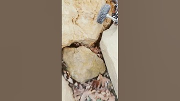 MAZZ DESIGN CHEAT CODE XL SCX24 MOFO BAM 4100 AND TREAL PORTAL AXLES