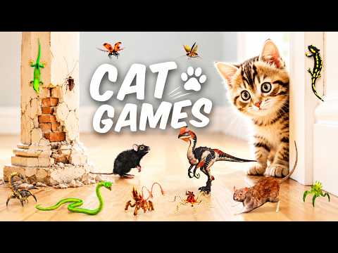 🐱 3D TV For Cats | Cat Games for Cats to Watch | Mice Lizard & Bugs Chase in Ancient Temple | 4K