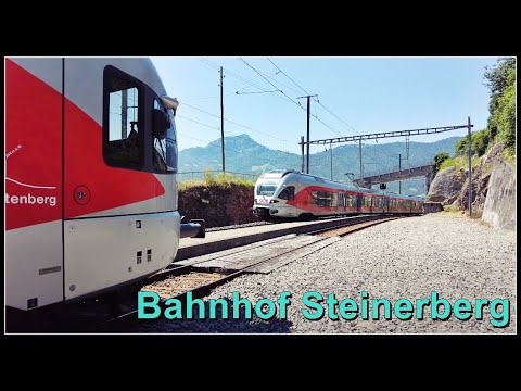 Zwei SOB Züge kreuzen sich beim Bahnhof Steinerberg, Kanton Schwyz, Schweiz 2022