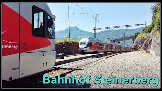 Zwei SOB Züge kreuzen sich beim Bahnhof Steinerberg, Kanton Schwyz, Schweiz 2022