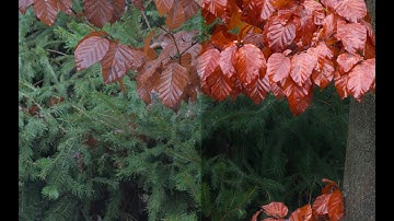 Darktable Episode 72: Color harmonies part 1