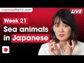 Sea Animals in Japanese | Learn Japanese Vocabulary (Week 21)