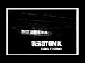 Serotonik   the protoxyd effect