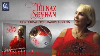 Tülnaz Seyhan / Gözlerime öyle bakıpta gittin (  2019) Resimi