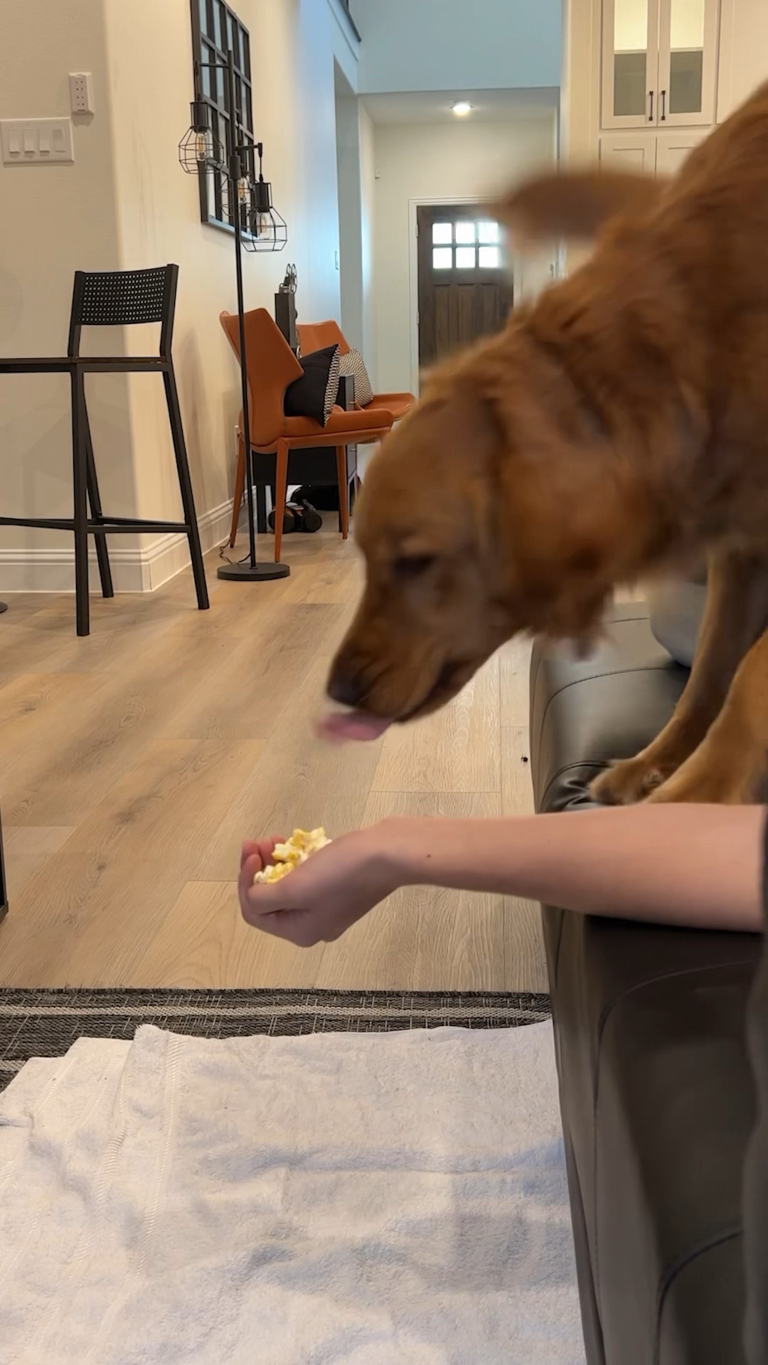 Who Ate my Popcorn?