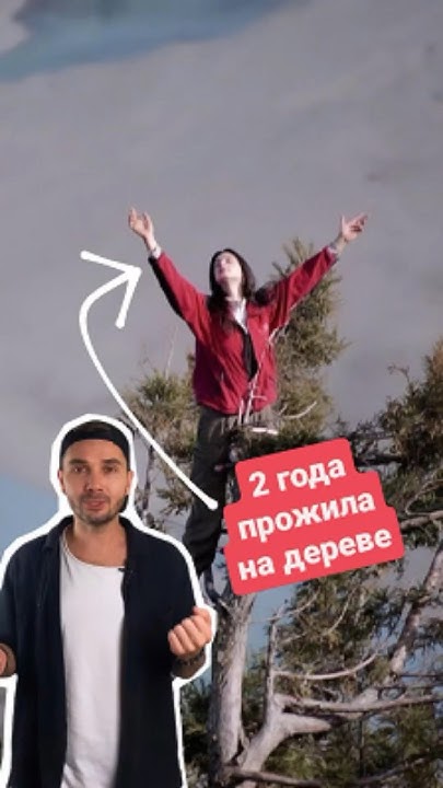 Джулия Хилл прожила на дереве два года в борьбе за его жизнь. - YouTube
