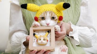 Is it good to make a felt gift by Zhupi’s fur? | SanHua Cat Live