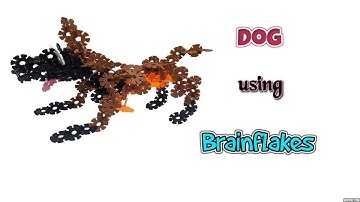 How to build a Dog using Brain Flakes | Brain Flakes step by step instructions | Kids Toy Videos