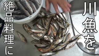 川で釣った大量のハヤを使って高級料理にする！