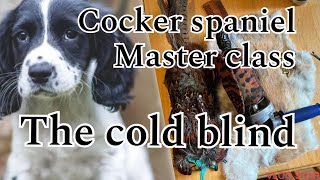 Celebrity Cocker Spaniel Masterclass: The Cold Blind Retrieve Wealth