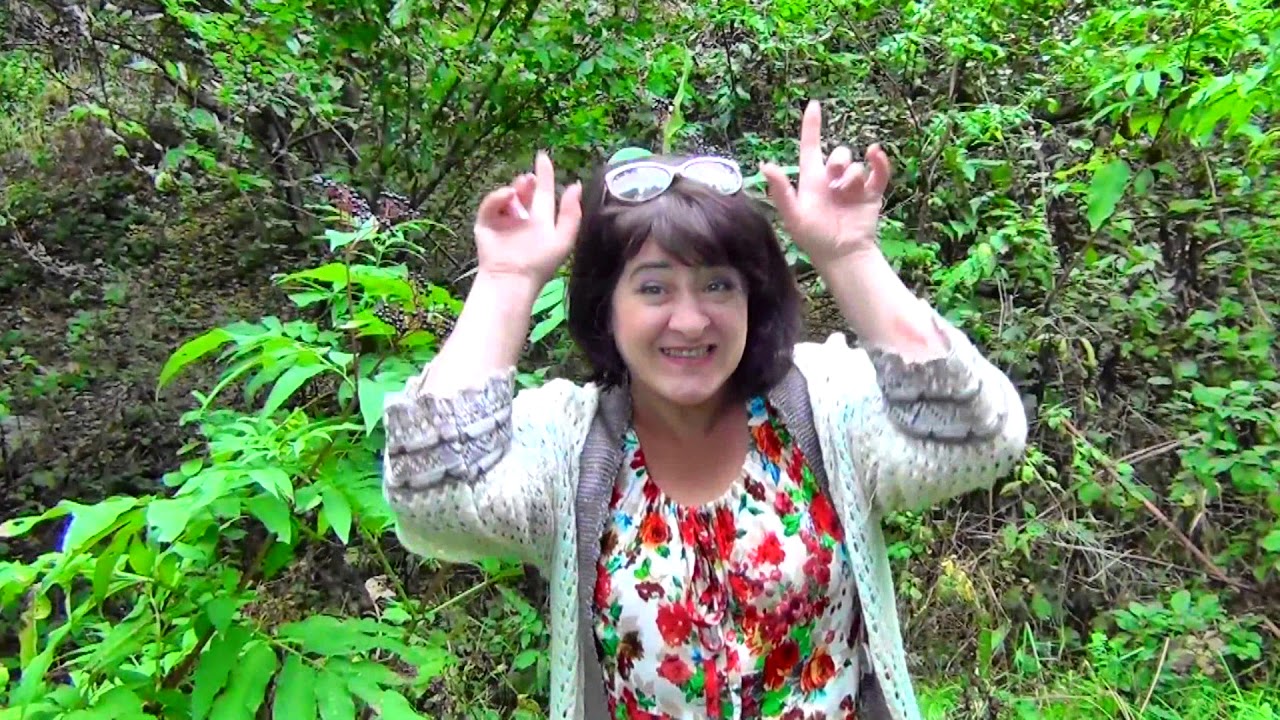 Зангиева карина асланбековна