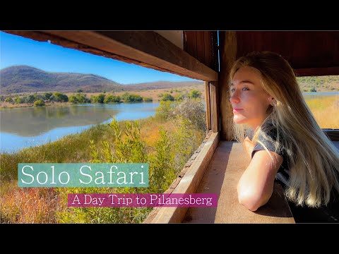 Self-Drive Safari in South Africa | A Day Tour to Pilanesberg