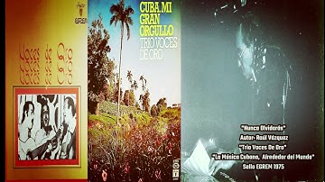"Nunca Olvidarás"   Trío "VOCES DE ORO"