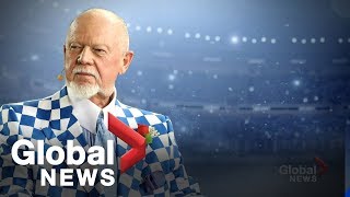 Mixed reactions after Don Cherry fired from Hockey Night In Canada amid controversy
