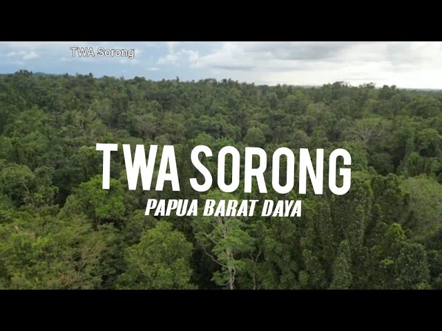 TAMAN WISATA ALAM SORONG #papuabaratdaya. class=