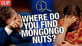 QI | Where Do You Find Mongongo Nuts?