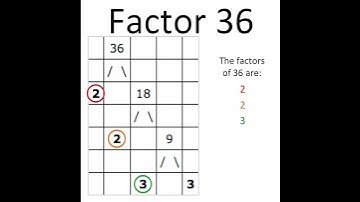Factor A 36