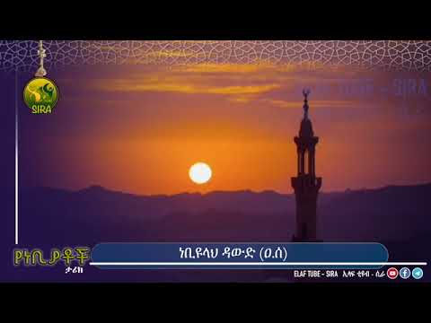 የነብዩላህ ዳውድ ታሪክ