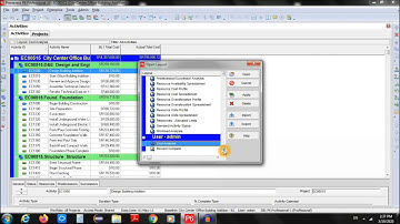 Modifying Columns in Primavera P6 and Creating Layouts