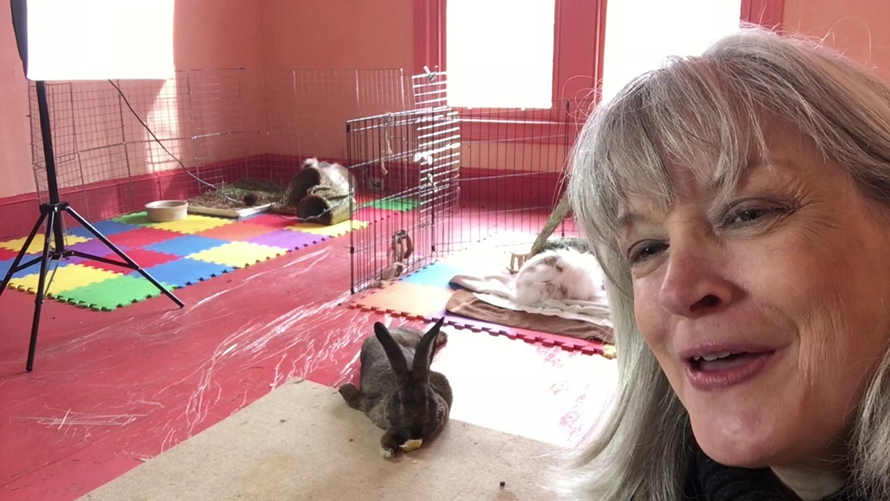 guinea pig toys petco Radicchio digs on his maypop