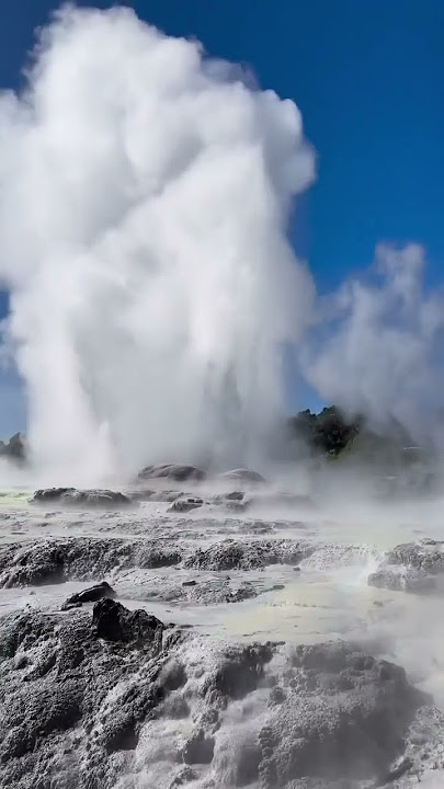 #pohutugeyser erupts #geothermal #tepuia full vlog on #vishalkangvlogs #travel #nz #vlog