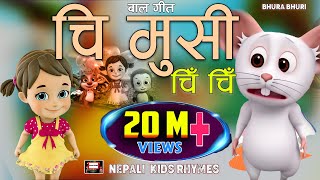 Chi Musi Chi Chi | चि मुसी चि चि ||New Rhymes|Nepali Rhymes for Kids | Popular Rhymes| बाल गीत| New