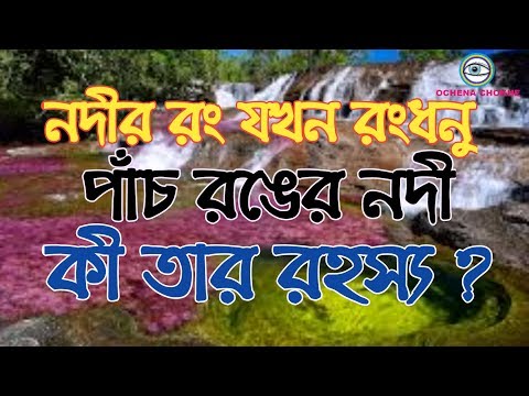 River of five colours |Caño Cristales||পাঁচ রঙের নদী। তরল রামধনু।