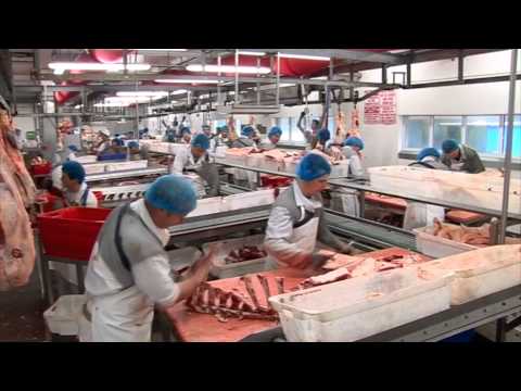 Profit from production - Beef processing and packing