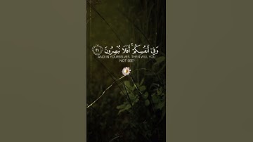 وفي الأرض آيات للموقنين | أرح قلبك| سورة الذاريات | القارئ إسلام صبحي