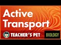 Active Transport