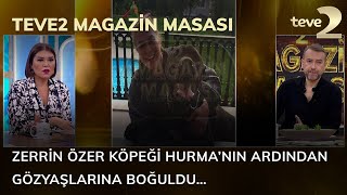 Teve2 Magazin Masası Zerrin Özer Köpeği Hurmanın Ardından Gözyaşlarına Boğuldu