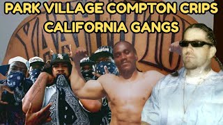 Di Dalam Park Village Compton Crips: Kisah Tak Terungkap tentang Geng Yaah di Compton, California screenshot 4