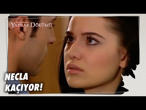 Cem, Necla İle Yakınlaşmak İstiyor! - Yaprak Dökümü 74. Bölüm