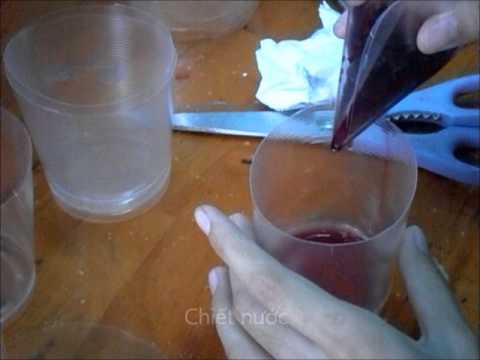 Video Thực hành phát hiện diệp lục và carotenoit - YouTube