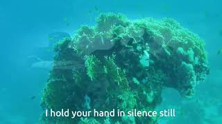 Watch Kirlian Camera Ocean 7 video