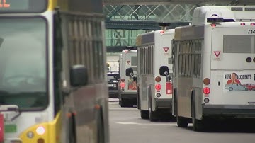 Metro Transit: Route Cancellations Due To Driver Shortage