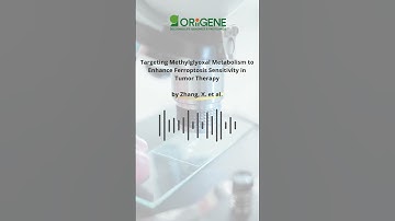 Make Tumors Self-Destroy? 🚨 Ferroptosis Boosted by Methylglyoxal Block!