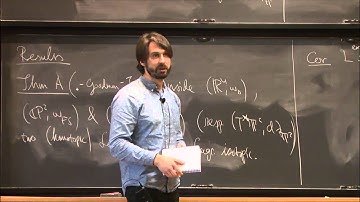 Classification results for two-dimensional Lagrangian tori - Dimitroglou Rizell